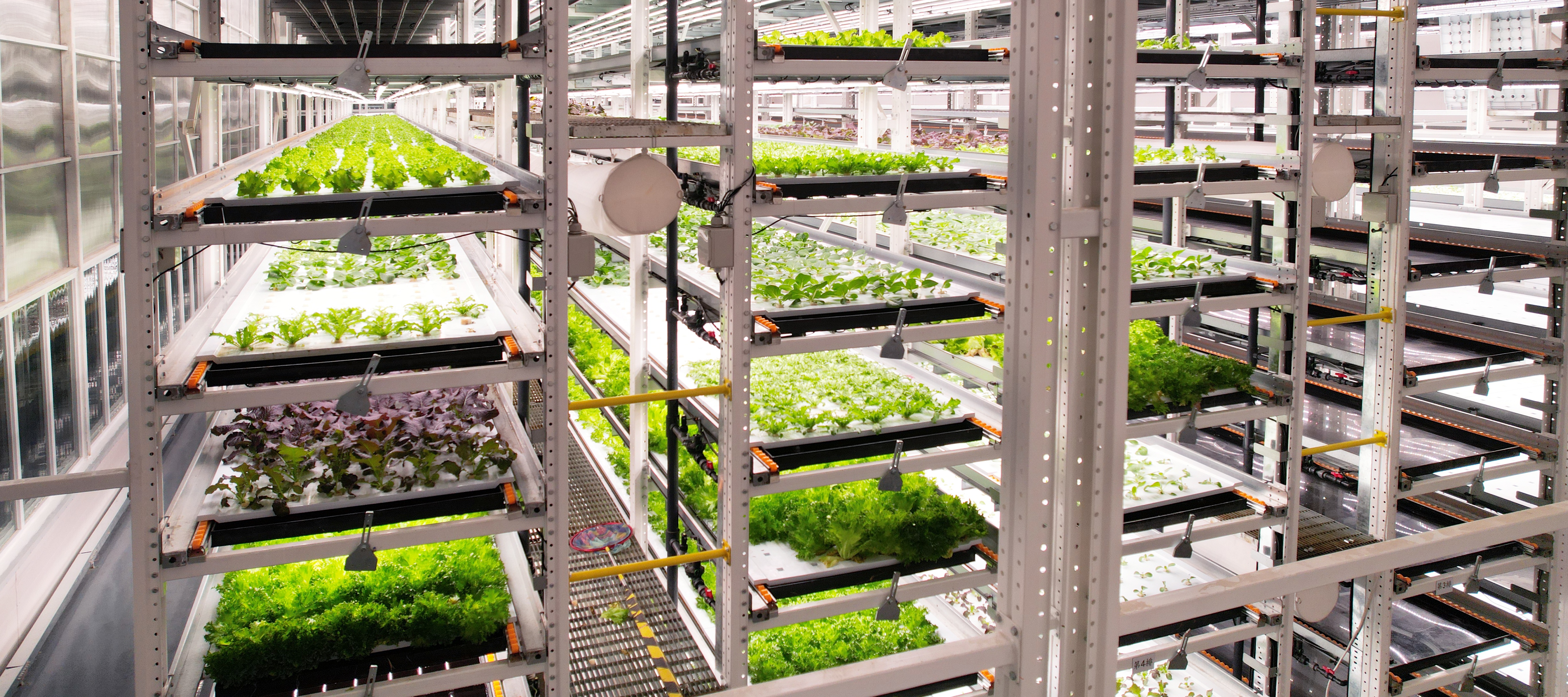 J9���λ�ֲ�﹤���߲�20231206 (2)_��ͼ��.JPG